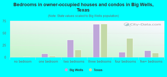 Bedrooms in owner-occupied houses and condos in Big Wells, Texas