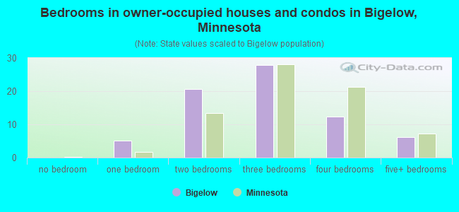 Bedrooms in owner-occupied houses and condos in Bigelow, Minnesota
