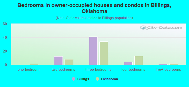 Bedrooms in owner-occupied houses and condos in Billings, Oklahoma