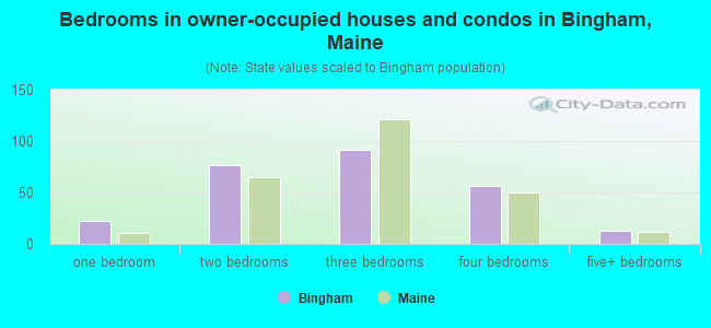 Bedrooms in owner-occupied houses and condos in Bingham, Maine