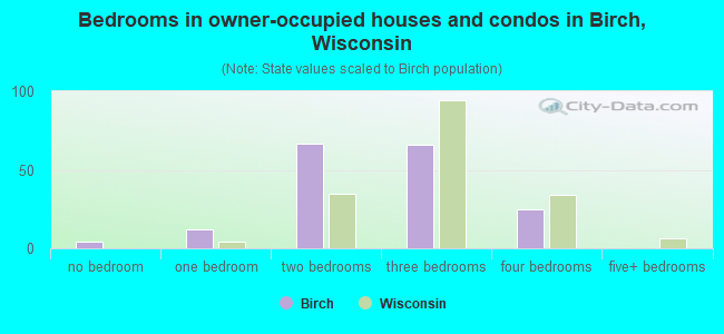 Bedrooms in owner-occupied houses and condos in Birch, Wisconsin