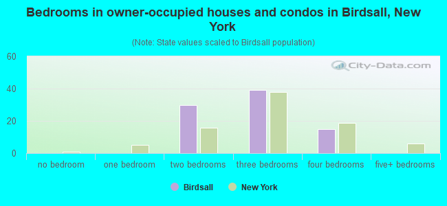 Bedrooms in owner-occupied houses and condos in Birdsall, New York
