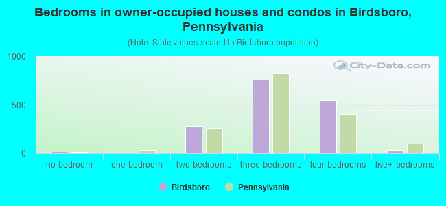 Bedrooms in owner-occupied houses and condos in Birdsboro, Pennsylvania