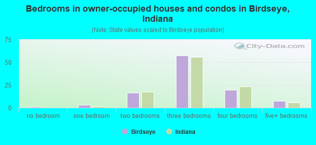 Bedrooms in owner-occupied houses and condos in Birdseye, Indiana