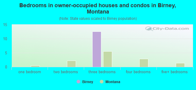 Bedrooms in owner-occupied houses and condos in Birney, Montana