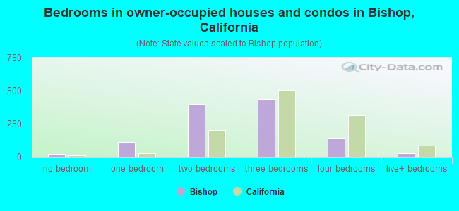 Bedrooms in owner-occupied houses and condos in Bishop, California