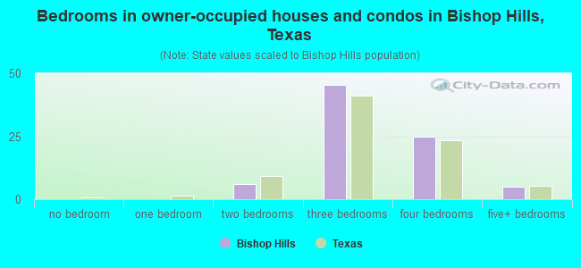 Bedrooms in owner-occupied houses and condos in Bishop Hills, Texas