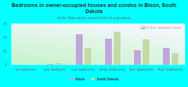Bedrooms in owner-occupied houses and condos in Bison, South Dakota