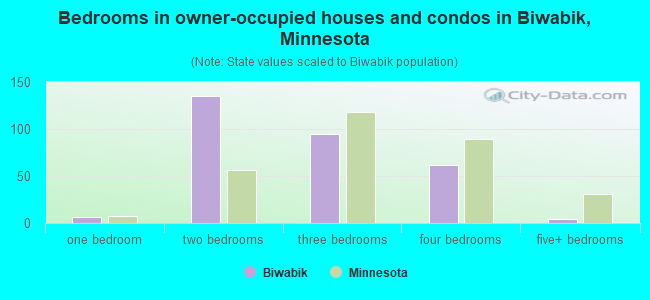 Bedrooms in owner-occupied houses and condos in Biwabik, Minnesota