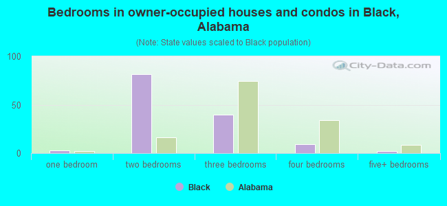Bedrooms in owner-occupied houses and condos in Black, Alabama