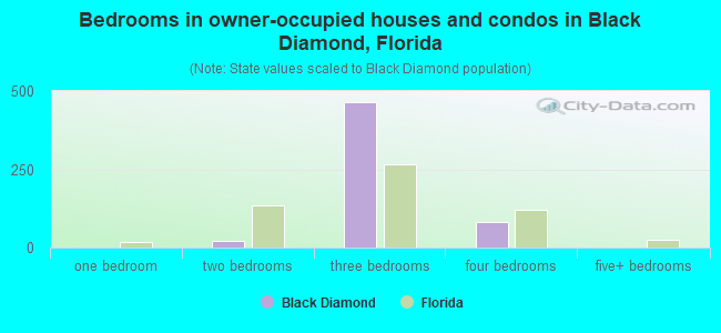 Bedrooms in owner-occupied houses and condos in Black Diamond, Florida