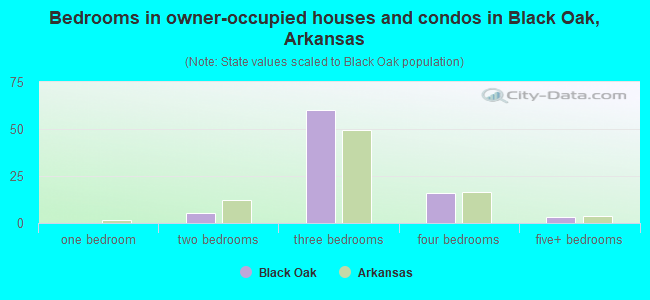 Bedrooms in owner-occupied houses and condos in Black Oak, Arkansas