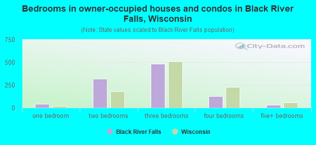 Bedrooms in owner-occupied houses and condos in Black River Falls, Wisconsin