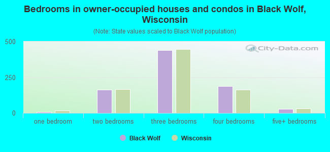 Bedrooms in owner-occupied houses and condos in Black Wolf, Wisconsin