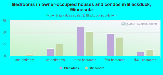 Bedrooms in owner-occupied houses and condos in Blackduck, Minnesota