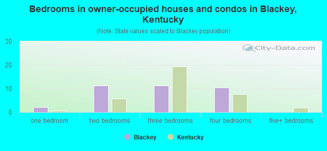 Bedrooms in owner-occupied houses and condos in Blackey, Kentucky
