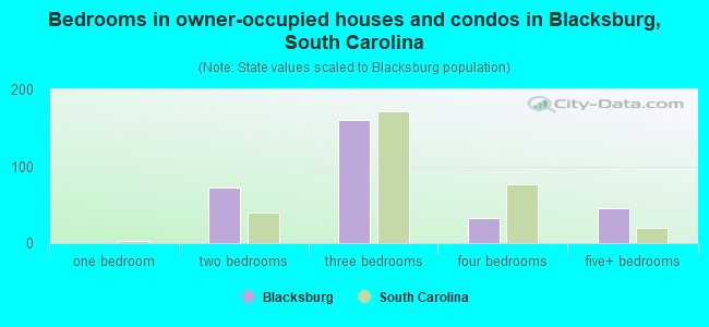 Bedrooms in owner-occupied houses and condos in Blacksburg, South Carolina