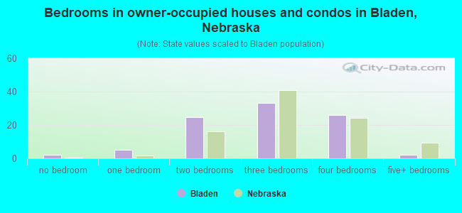 Bedrooms in owner-occupied houses and condos in Bladen, Nebraska
