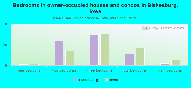 Bedrooms in owner-occupied houses and condos in Blakesburg, Iowa