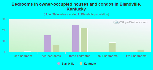 Bedrooms in owner-occupied houses and condos in Blandville, Kentucky