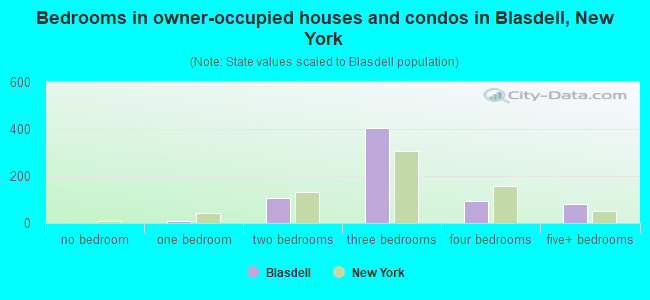 Bedrooms in owner-occupied houses and condos in Blasdell, New York