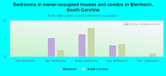 Bedrooms in owner-occupied houses and condos in Blenheim, South Carolina