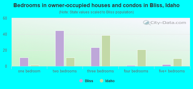Bedrooms in owner-occupied houses and condos in Bliss, Idaho