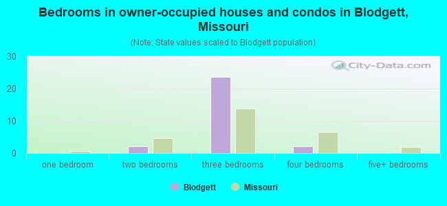 Bedrooms in owner-occupied houses and condos in Blodgett, Missouri
