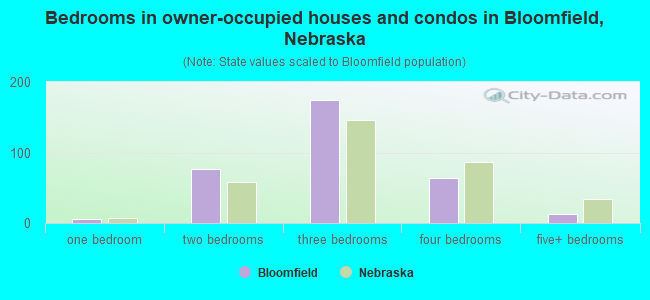Bedrooms in owner-occupied houses and condos in Bloomfield, Nebraska
