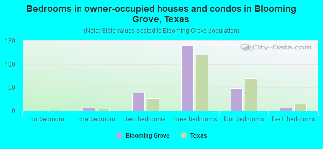 Bedrooms in owner-occupied houses and condos in Blooming Grove, Texas