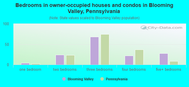 Bedrooms in owner-occupied houses and condos in Blooming Valley, Pennsylvania