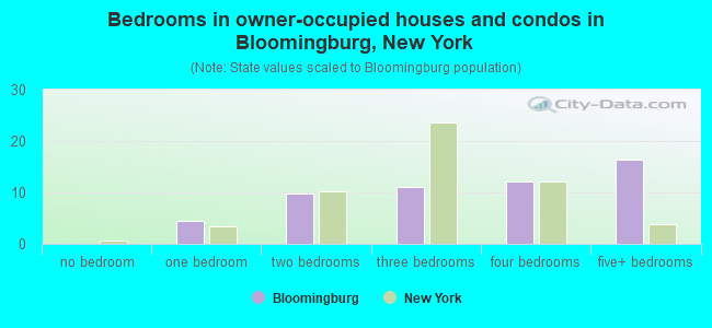 Bedrooms in owner-occupied houses and condos in Bloomingburg, New York