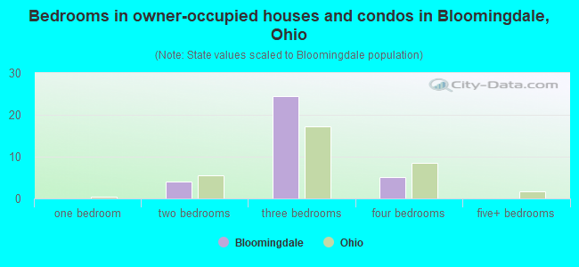 Bedrooms in owner-occupied houses and condos in Bloomingdale, Ohio