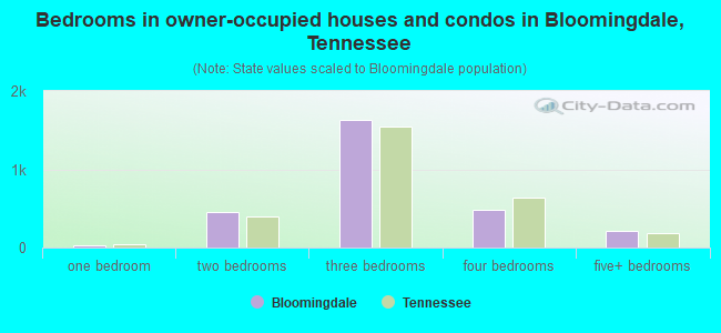 Bedrooms in owner-occupied houses and condos in Bloomingdale, Tennessee