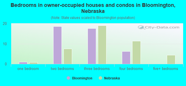 Bedrooms in owner-occupied houses and condos in Bloomington, Nebraska