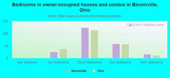 Bedrooms in owner-occupied houses and condos in Bloomville, Ohio