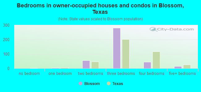 Bedrooms in owner-occupied houses and condos in Blossom, Texas