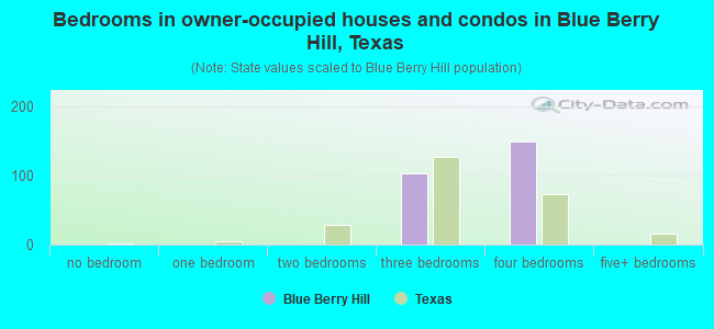 Bedrooms in owner-occupied houses and condos in Blue Berry Hill, Texas