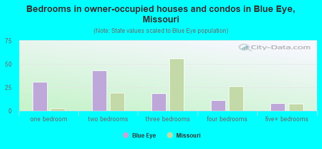 Bedrooms in owner-occupied houses and condos in Blue Eye, Missouri