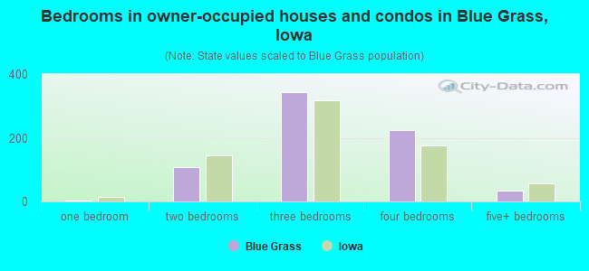 Bedrooms in owner-occupied houses and condos in Blue Grass, Iowa