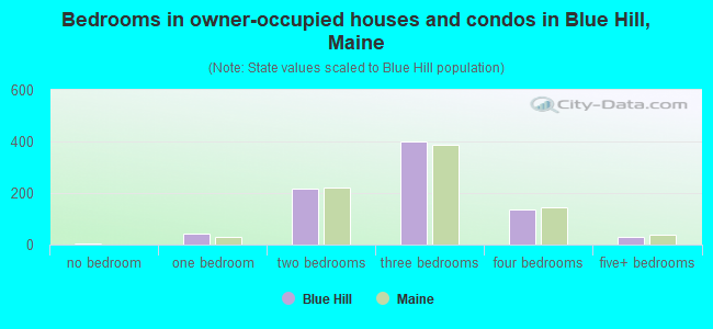 Bedrooms in owner-occupied houses and condos in Blue Hill, Maine