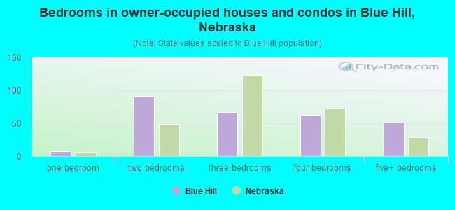 Bedrooms in owner-occupied houses and condos in Blue Hill, Nebraska