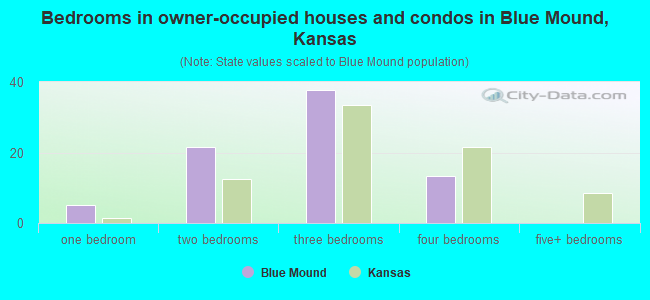 Bedrooms in owner-occupied houses and condos in Blue Mound, Kansas