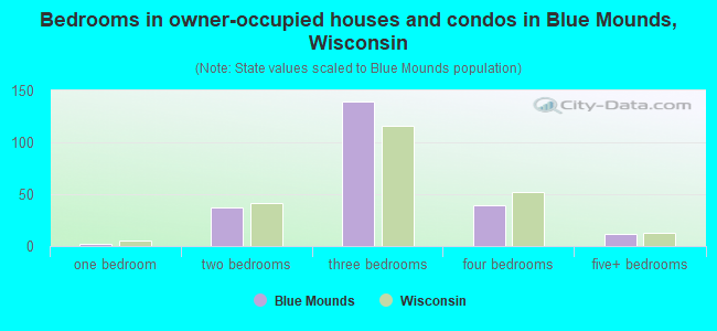 Bedrooms in owner-occupied houses and condos in Blue Mounds, Wisconsin