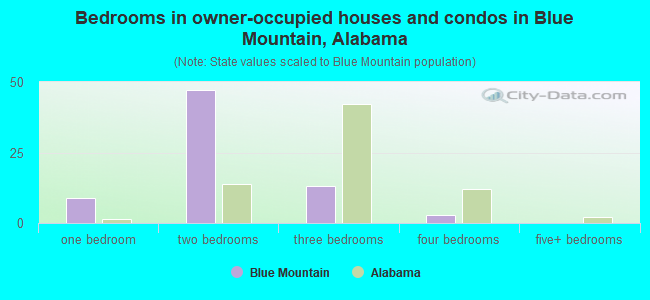 Bedrooms in owner-occupied houses and condos in Blue Mountain, Alabama