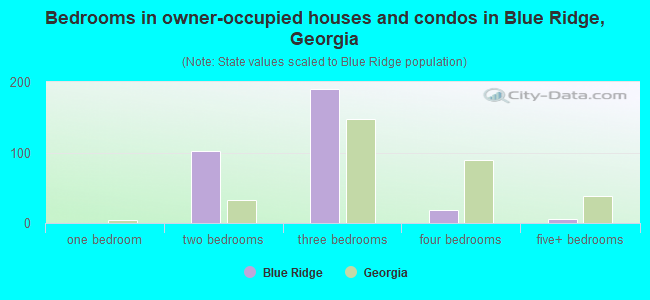 Bedrooms in owner-occupied houses and condos in Blue Ridge, Georgia