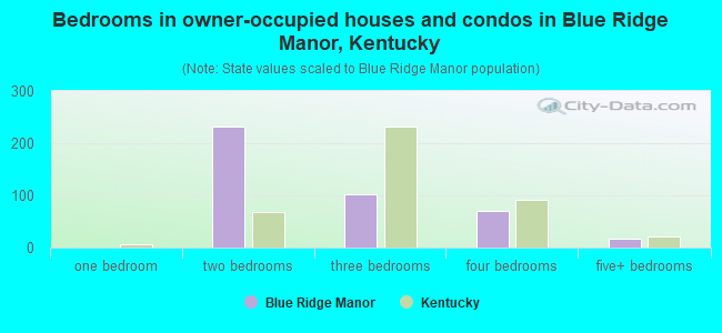 Bedrooms in owner-occupied houses and condos in Blue Ridge Manor, Kentucky
