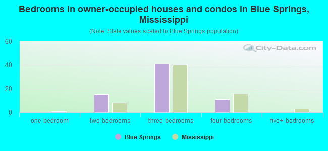 Bedrooms in owner-occupied houses and condos in Blue Springs, Mississippi