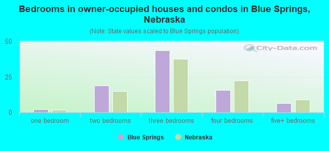 Bedrooms in owner-occupied houses and condos in Blue Springs, Nebraska