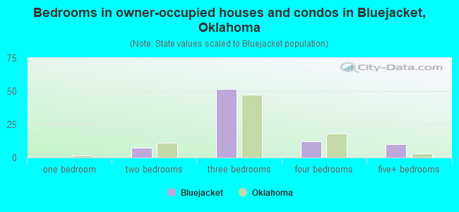Bedrooms in owner-occupied houses and condos in Bluejacket, Oklahoma